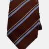 Enrico Rossini Tie/accessory